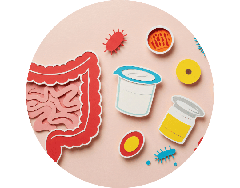 antibiyotik probiyotik ilişkisi